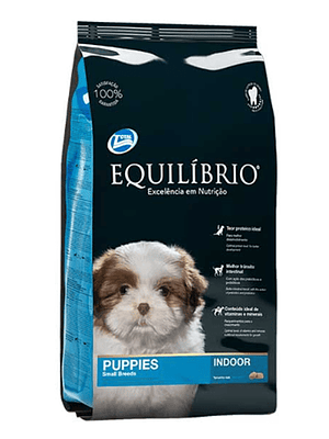 Equilibrio perro cachorro raza pequeña