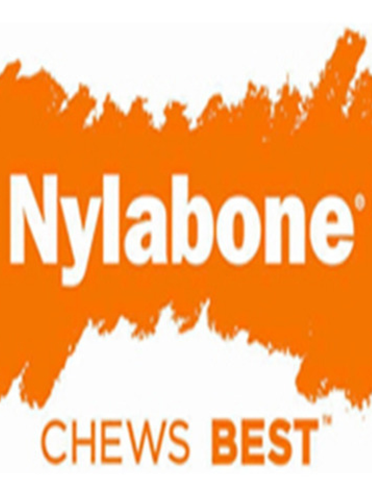 Juguete Para Perro Marca Nylabone Talla S 2