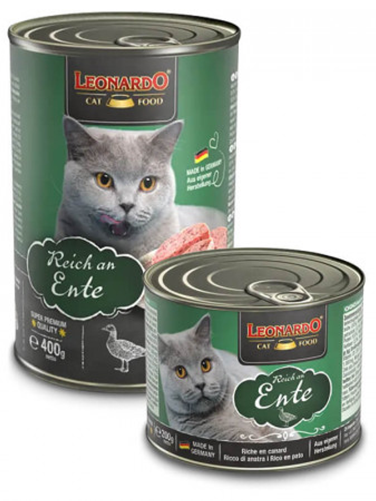 Leonardo Gato Adult De Pato  1