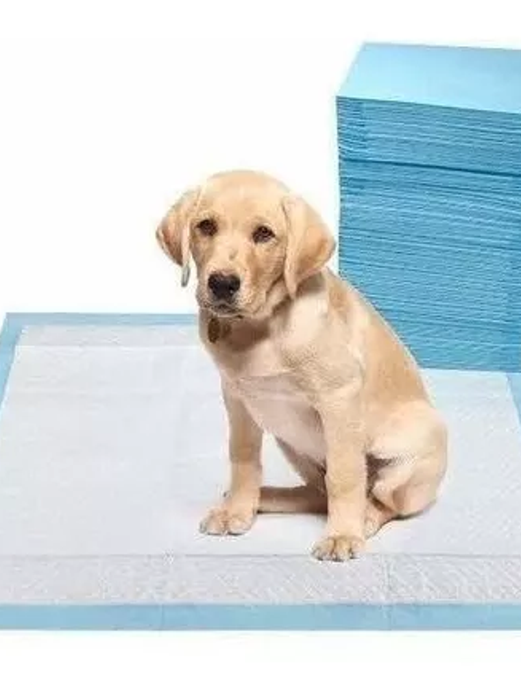 Sabanilla absorbente Buen amigo 60 x 90 de 20 unid AROMA MANZANA 3