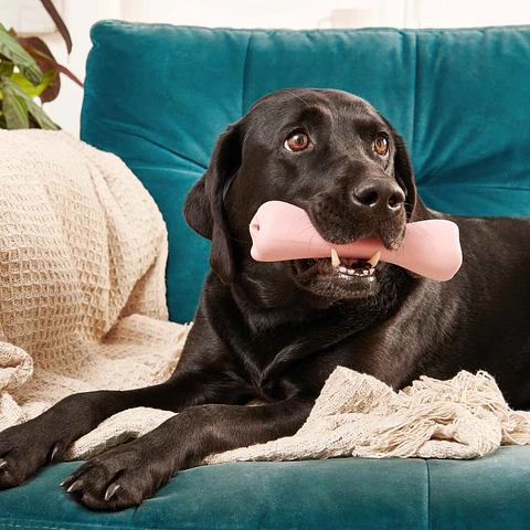 Beco Treat Bone Goma Natural