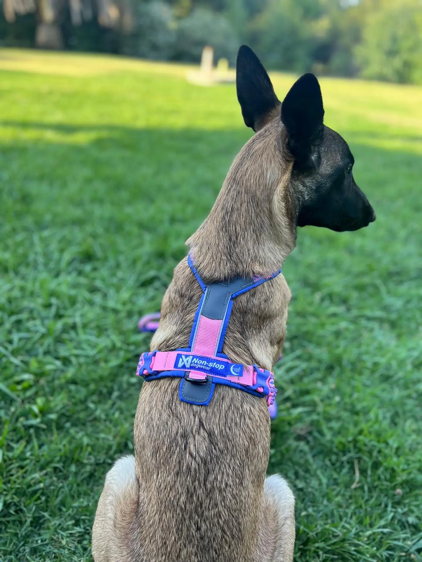 Non-stop dogwear Line Harness 5.0 4