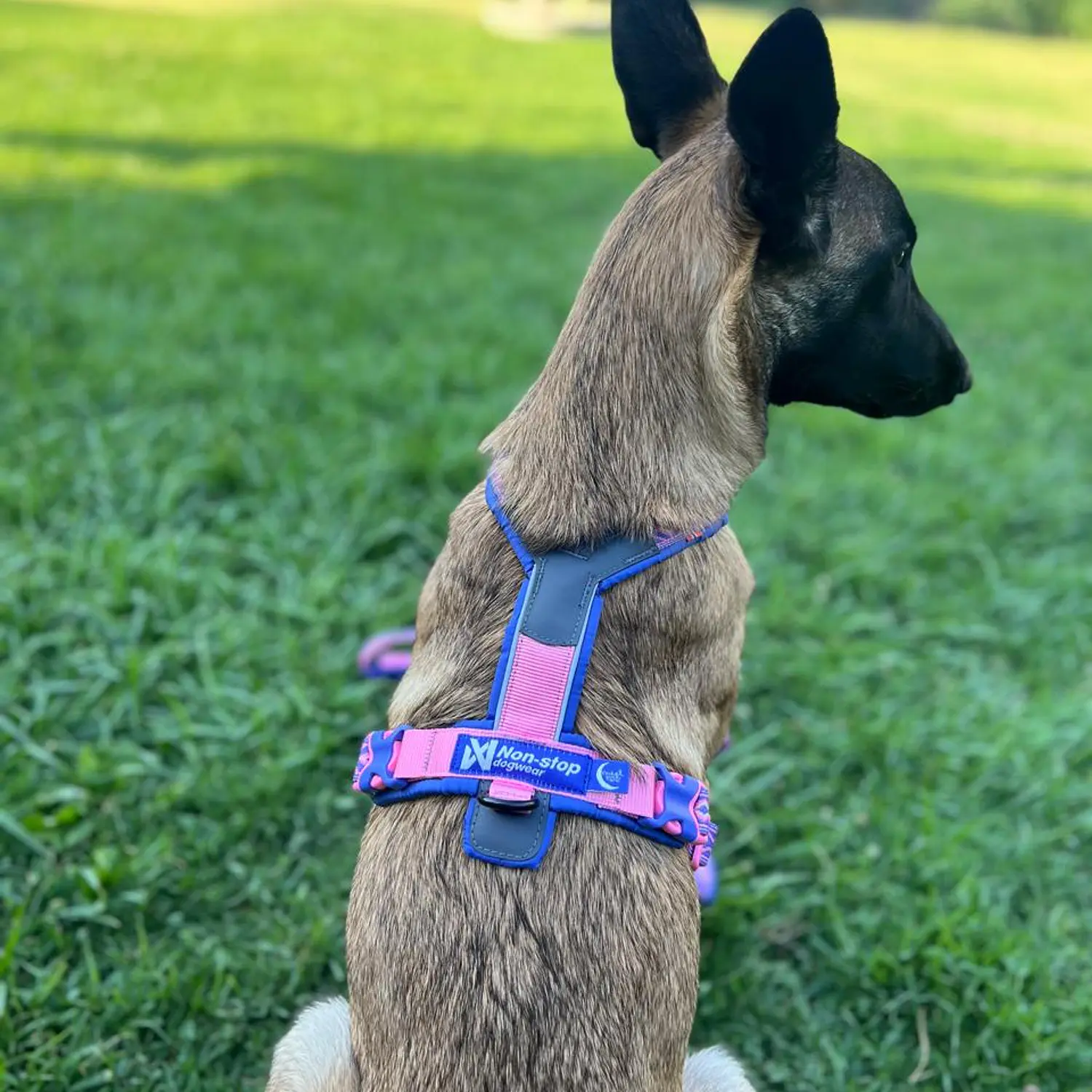 Non-stop dogwear Line Harness 5.0 2