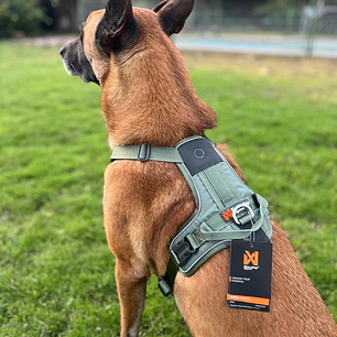 Non-stop dogwear Rambless Harness 