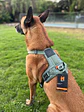 Non-stop dogwear Ramble Harness  - Miniatura 1