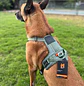 Non-stop dogwear Rambless Harness  - Miniatura 1