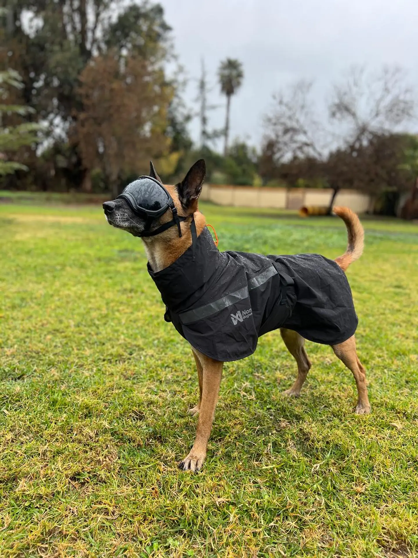 Non-Stop dogwear Trekking Raincoat 1