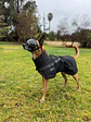Non-Stop dogwear Trekking Raincoat - Miniatura 1