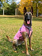 Non-stop dogwear Trail Quest Fleece Pullover - Miniatura 4