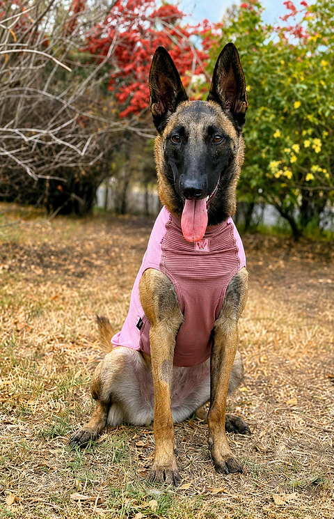Non-stop dogwear Trail Quest Fleece Pullover