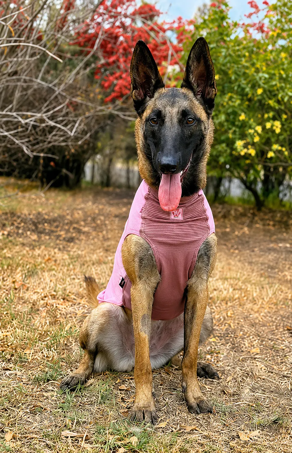 Non-stop dogwear Trail Quest Fleece Pullover 1