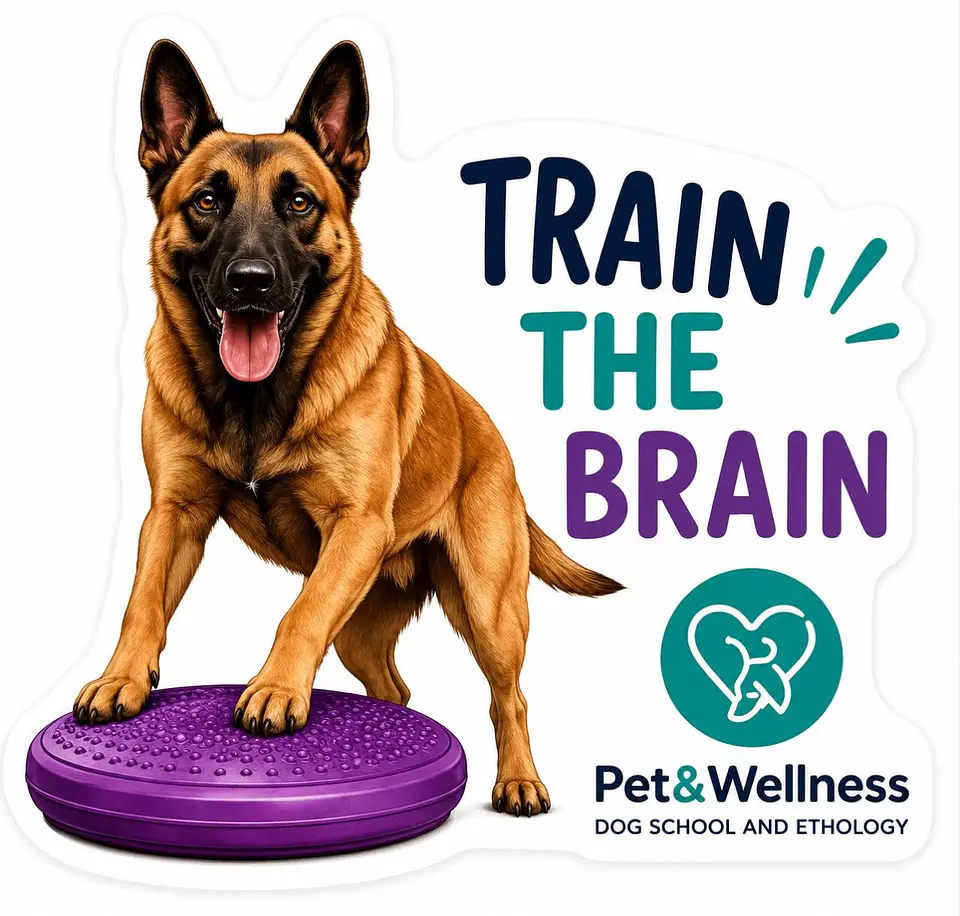Stickers Pet&Wellness 3