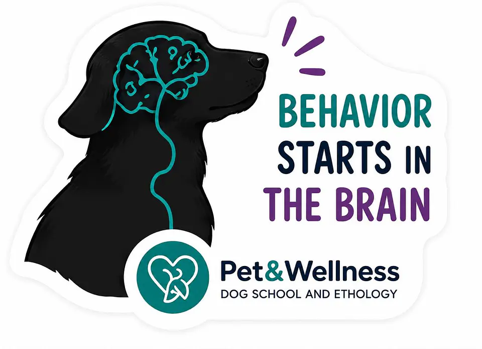 Stickers Pet&Wellness 11