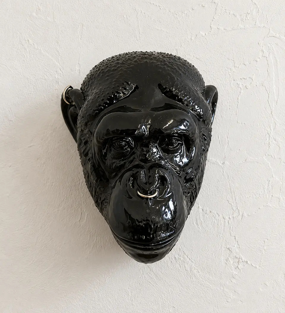 Cabeza Gorila 🦍 1