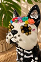 Bull dog huesitos 🖤 - Miniatura 2