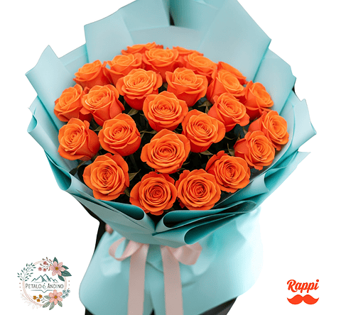 Rosas Cielo Amanecer X24