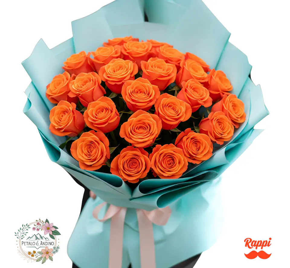 Rosas Cielo Amanecer X24 1