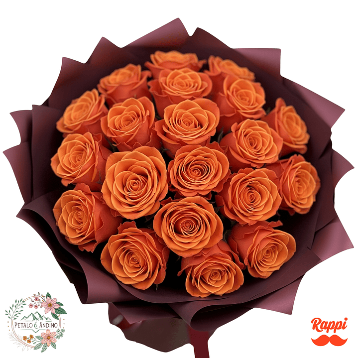 Rosas Calidez Otoñal X18 1