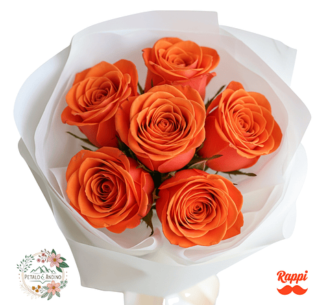 Rosas Sol Radiante X6