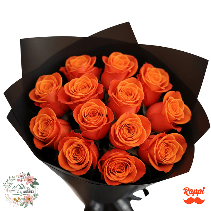 Rosas Naranja Misteriosa X12 1