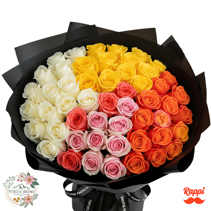 Rosas Elegancia Contrastante X50 1