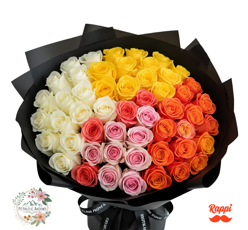 Rosas Elegancia Contrastante X72 1