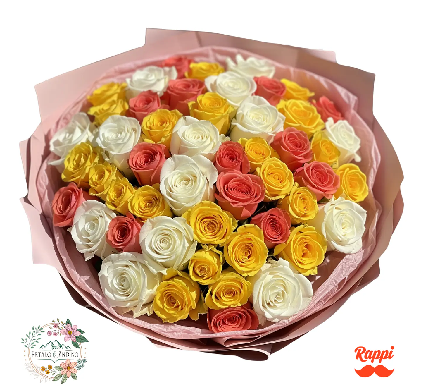 Rosas Alegría Primaveral X50 1