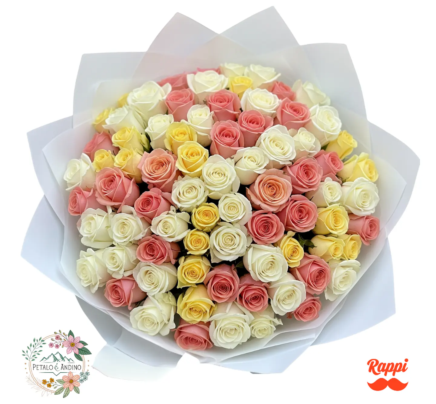 Rosas Jardín De Ensueño X100 1