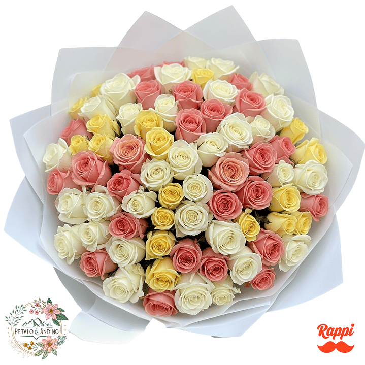 Rosas Jardín De Ensueño X100 1