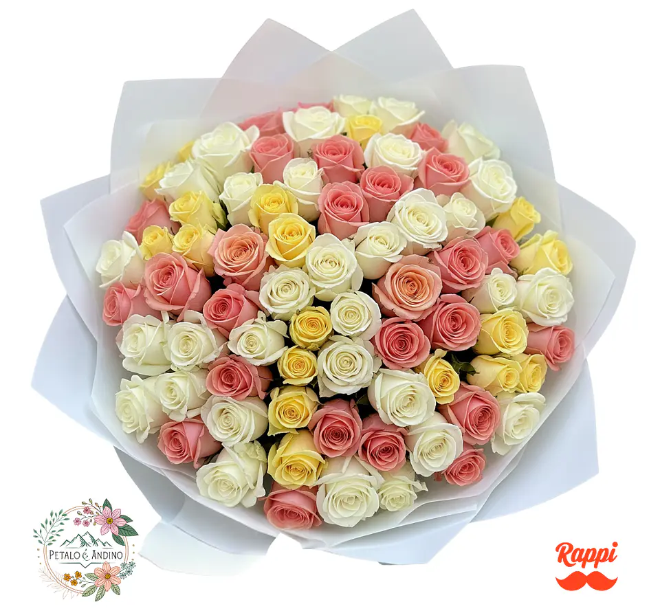 Rosas Jardín De Ensueño X100 1