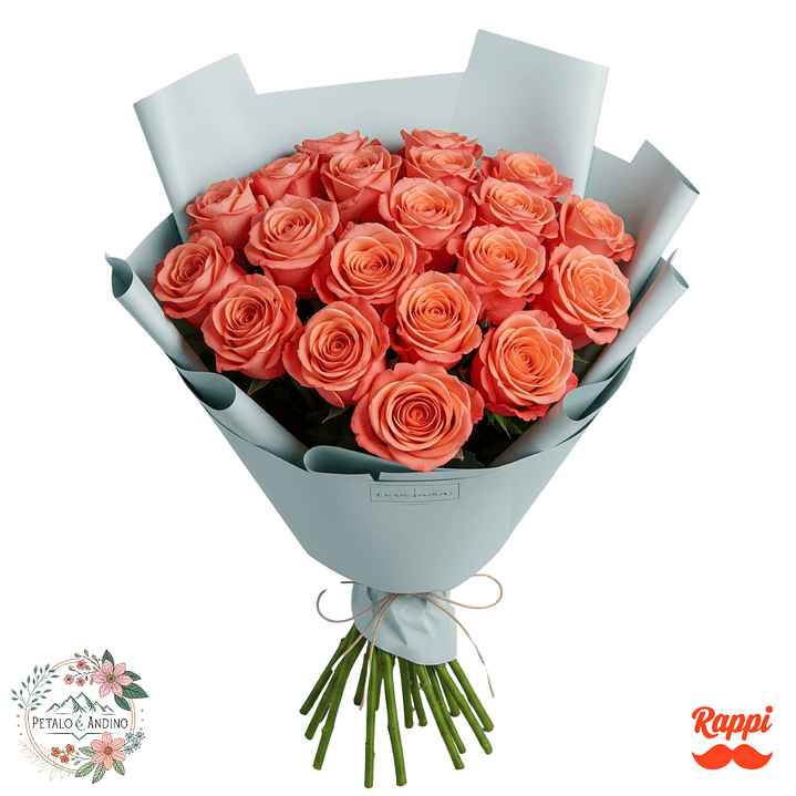 24 Rosas Color Salmon 1