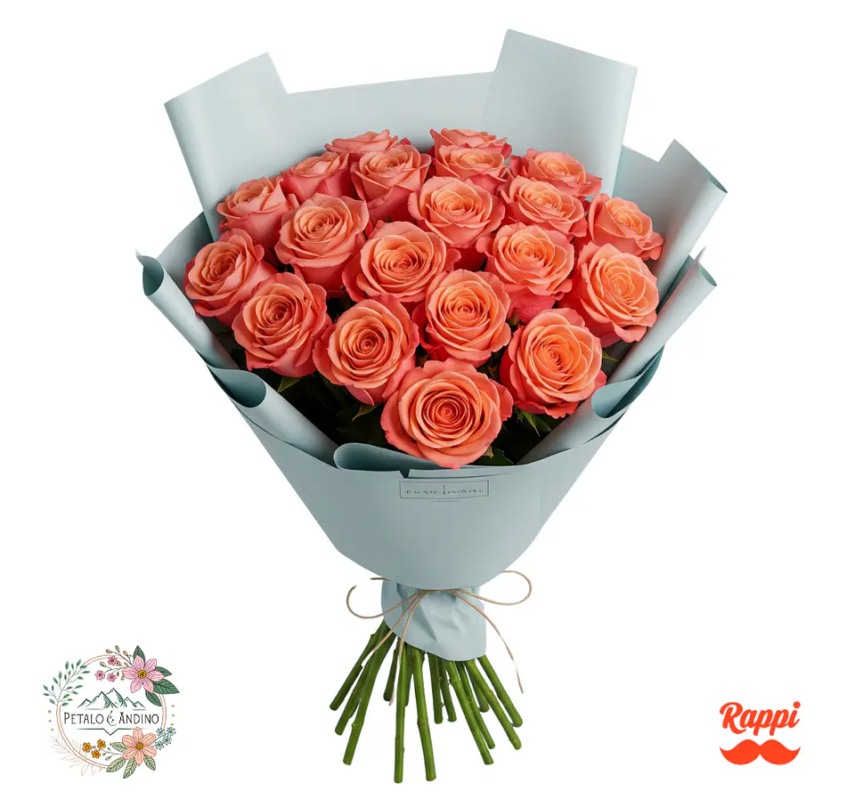 24 Rosas Color Salmon 1