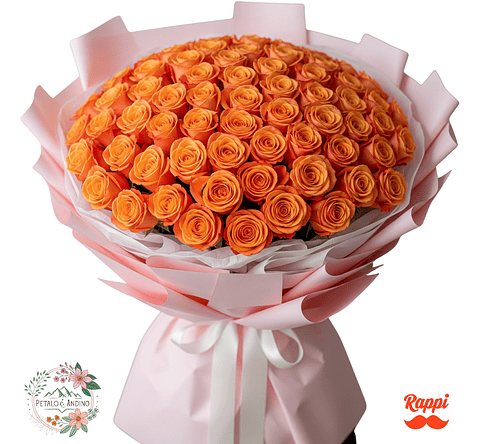 Rosas Dulce Amanecer X72