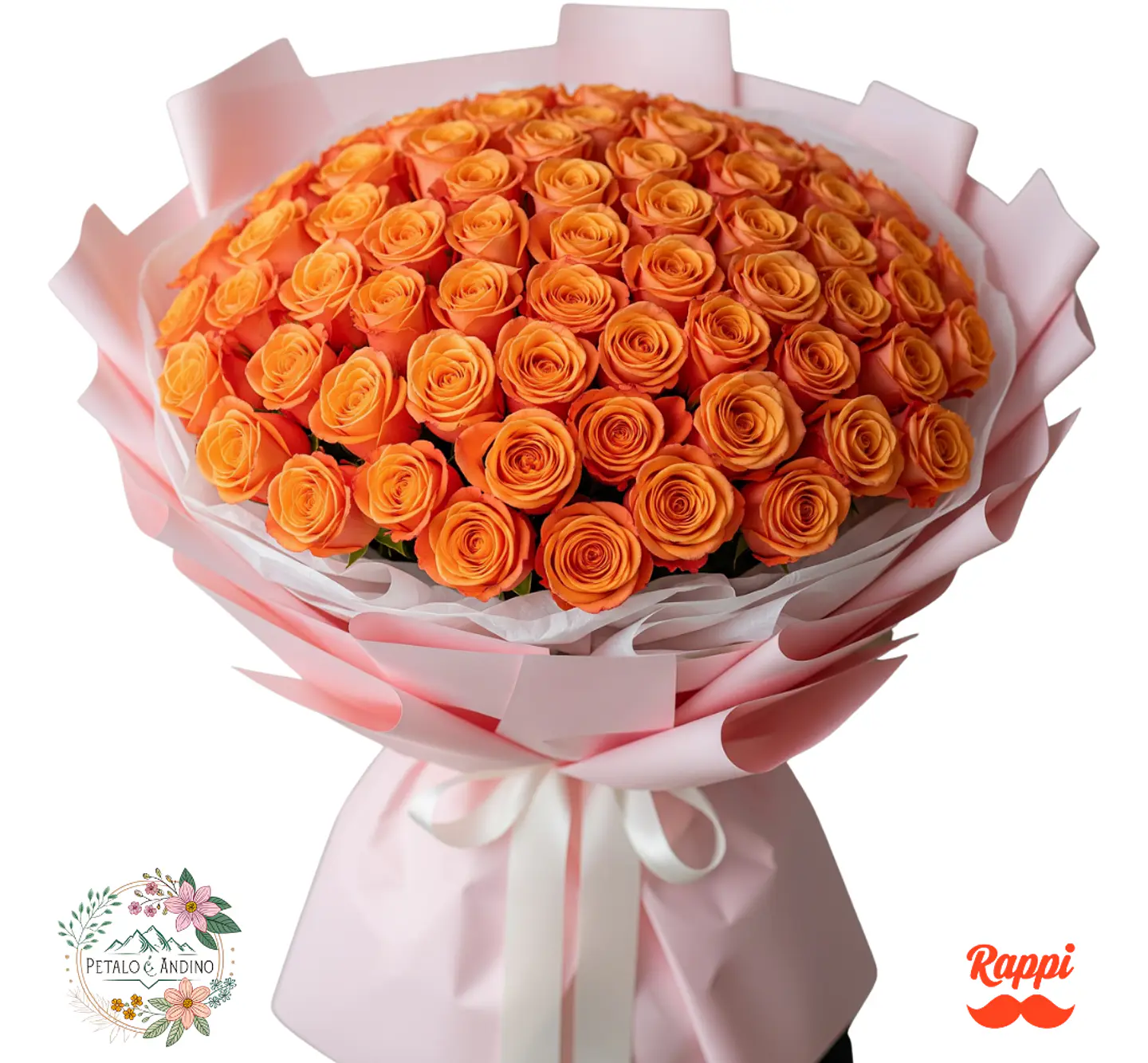 Rosas Dulce Amanecer X72 1