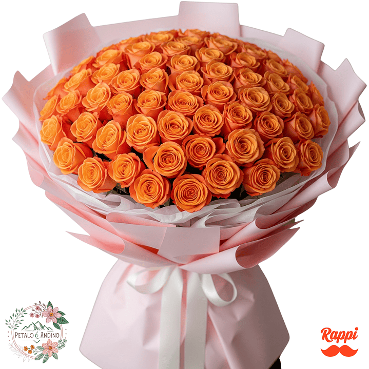 Rosas Dulce Amanecer X72 1