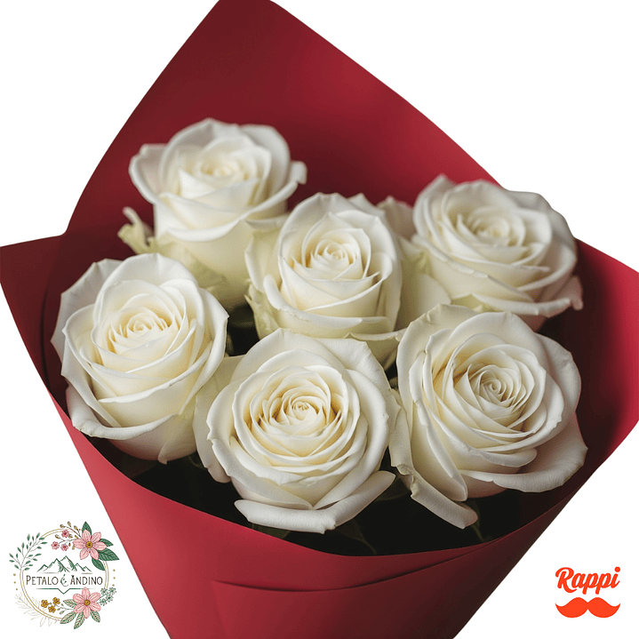 6 Rosas Blancas 1