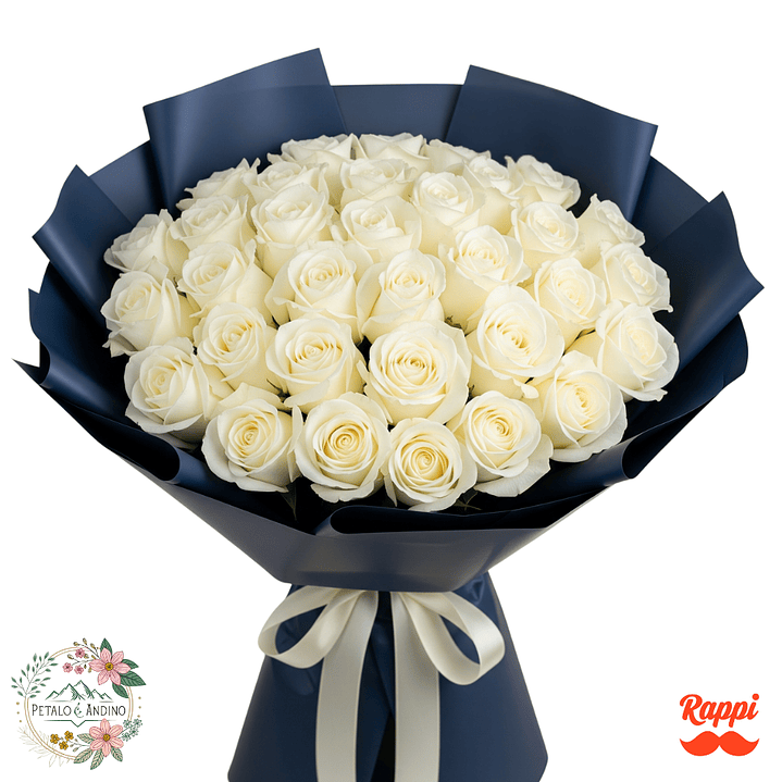 48 Rosas Blancas 1