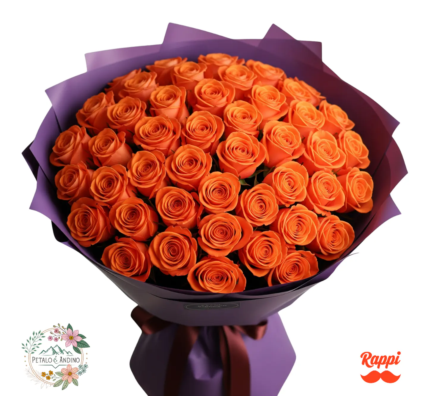 Rosas Atardecer Tropical X50 1