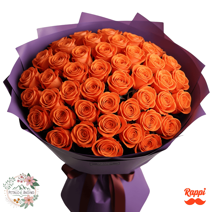 Rosas Atardecer Tropical X50 1