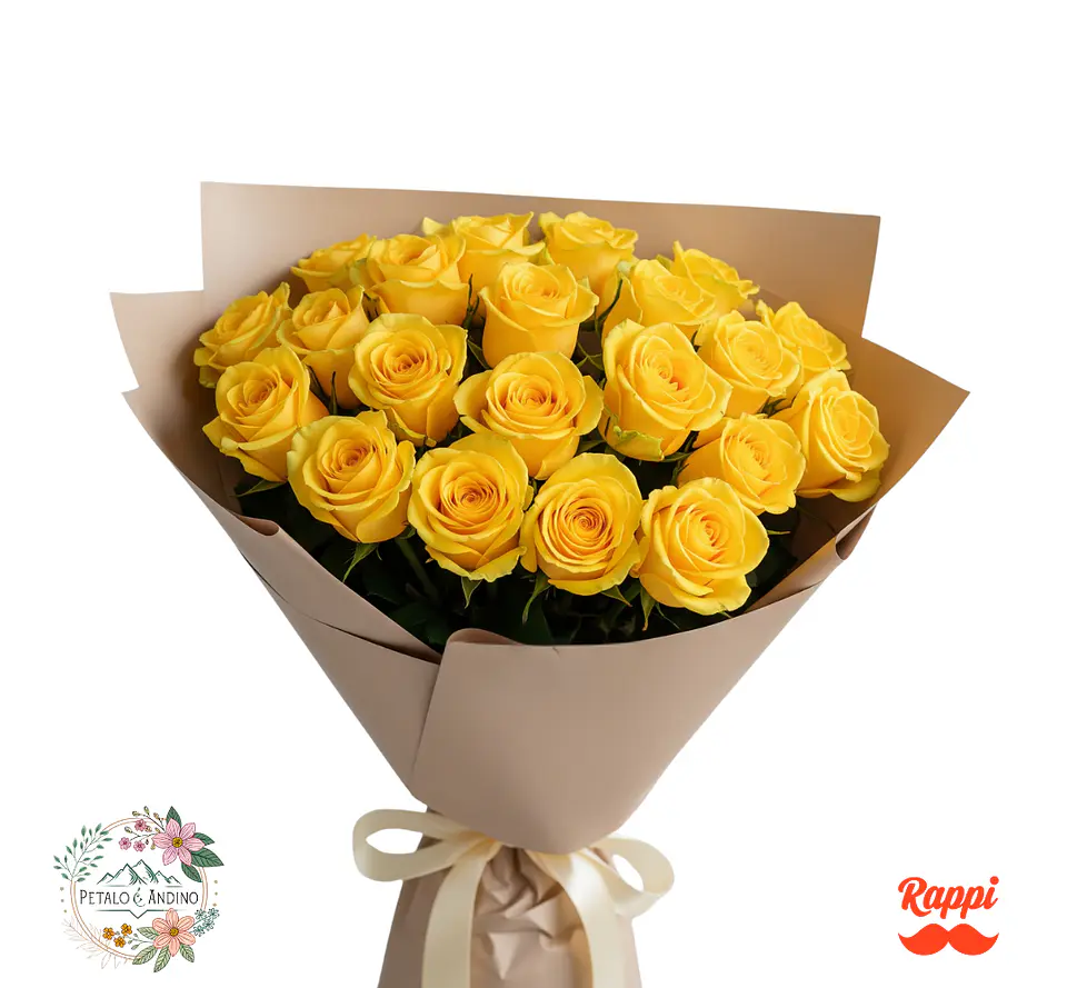 24 Rosas Amarillas 1