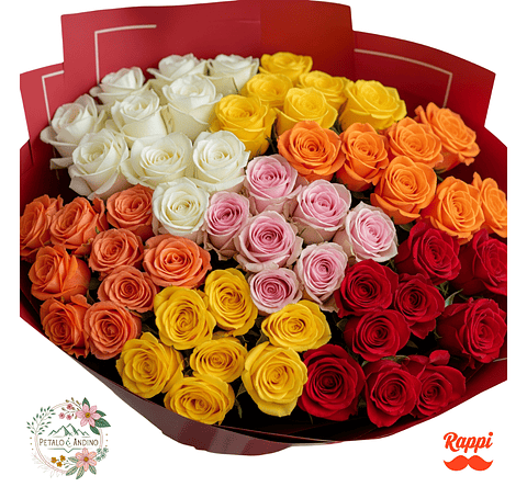 Rosas Fiesta De Colores X50