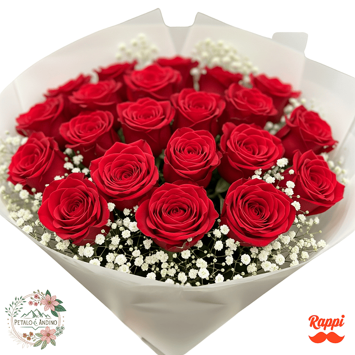24 Rosas Rojas 1