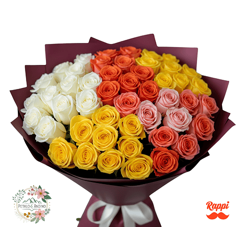 Rosas Arcoíris Andino X50