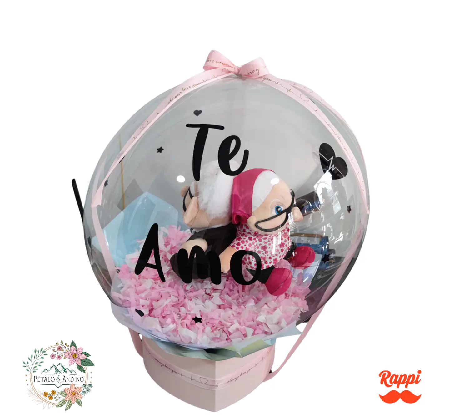 Nuestra Aventura Juntos (estilo up) 1