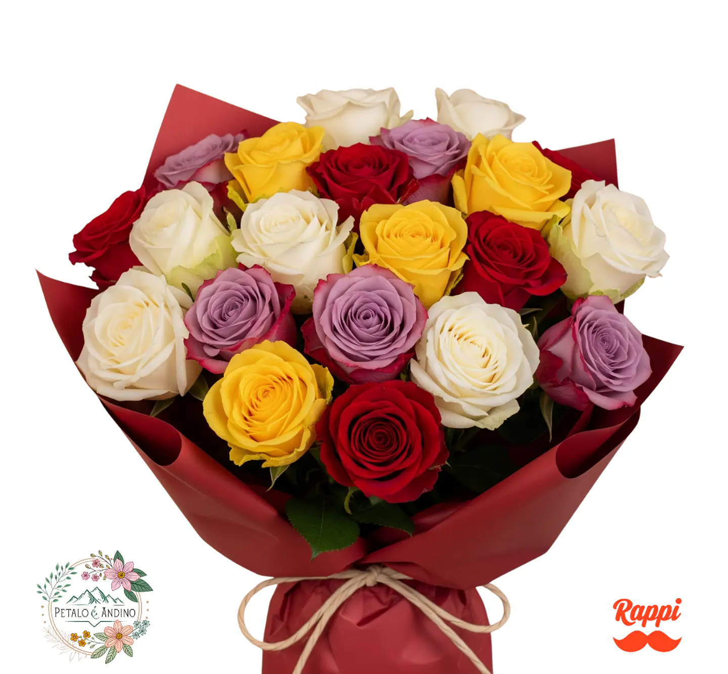 Rosas Fiesta De Colores X24 1