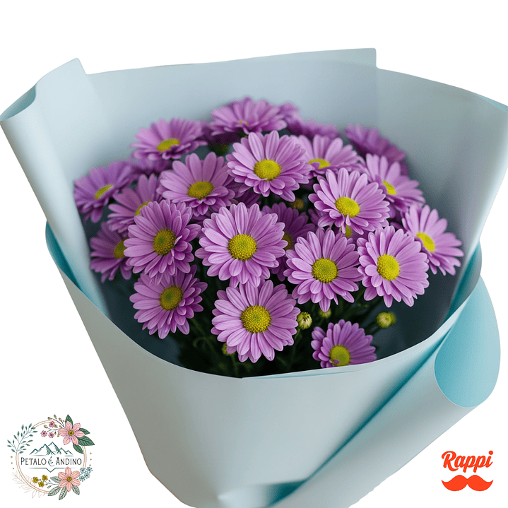 Margaritas Moradas 1