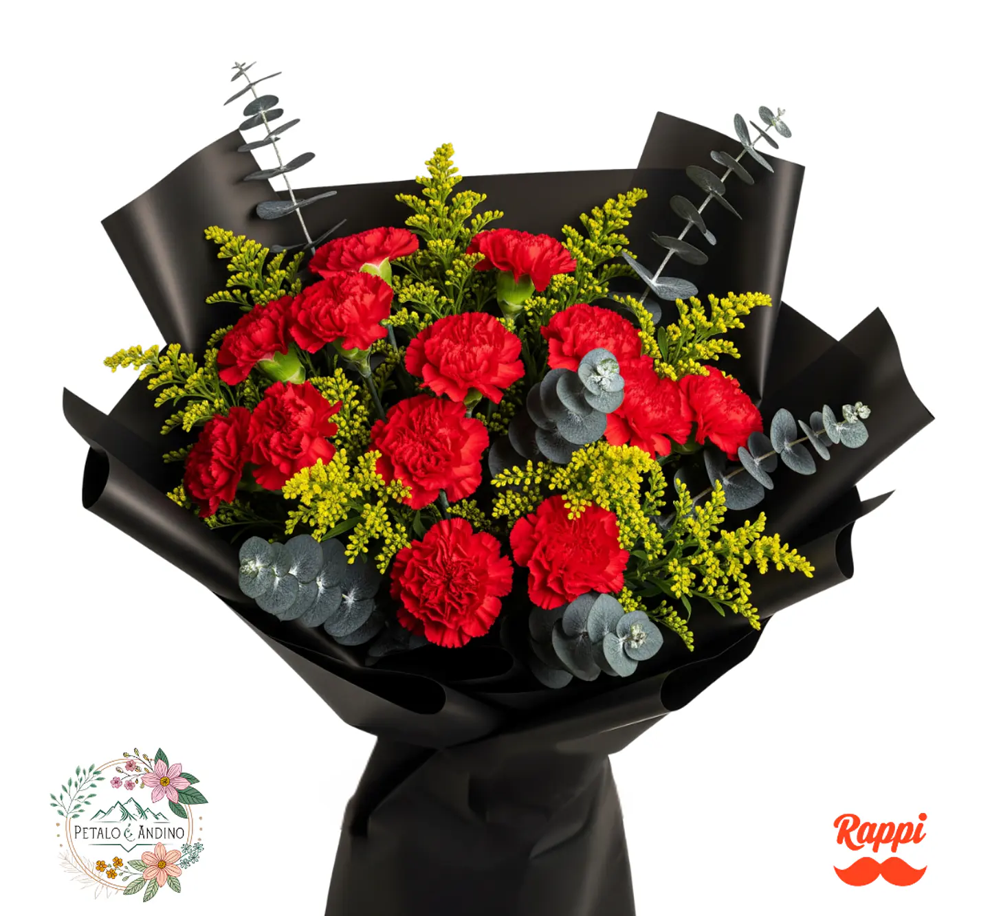 Claveles Vibrantes 1