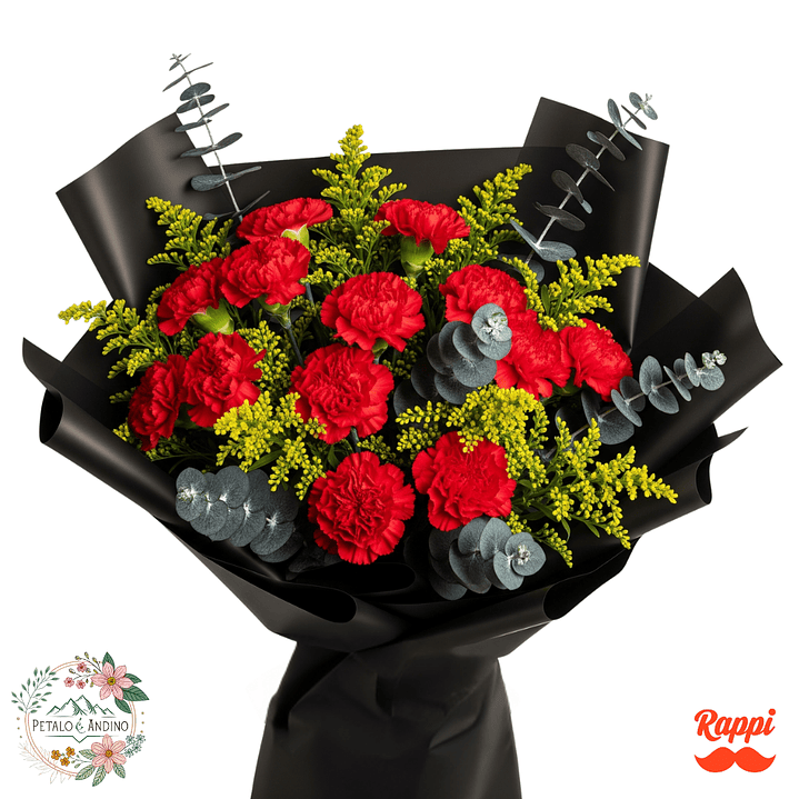 Claveles Vibrantes 1