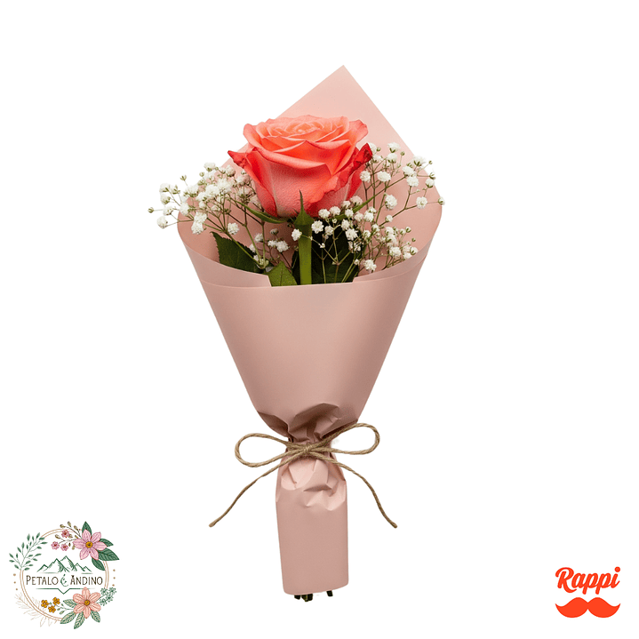 1 Rosa Color Salmon 1