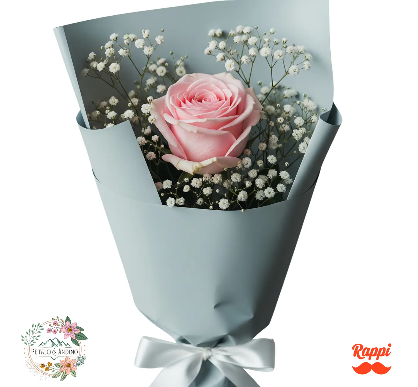 1 Rosa Rosado Claro 1